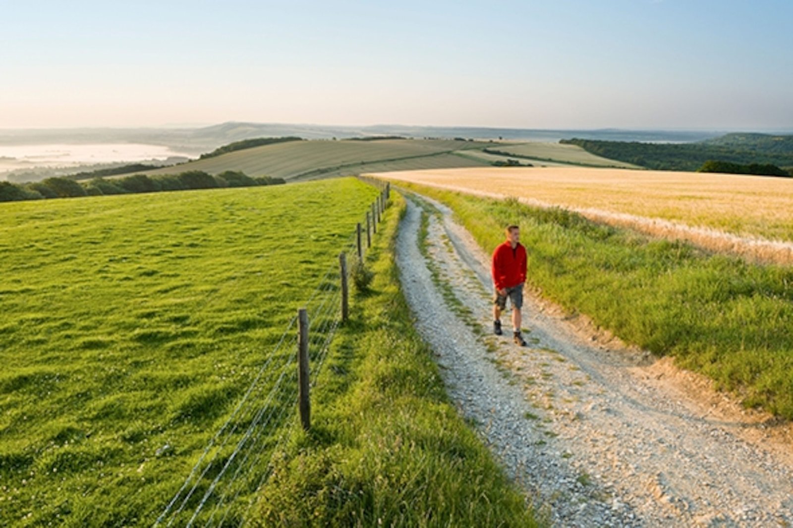 🚶♂️ Why Walking Without a Phone Feels So Refreshing 2 https://i.natgeofe.com/n/1704e786-8b8c-4329-8069-b42089b71599/walking-digital-detox-590.jpg